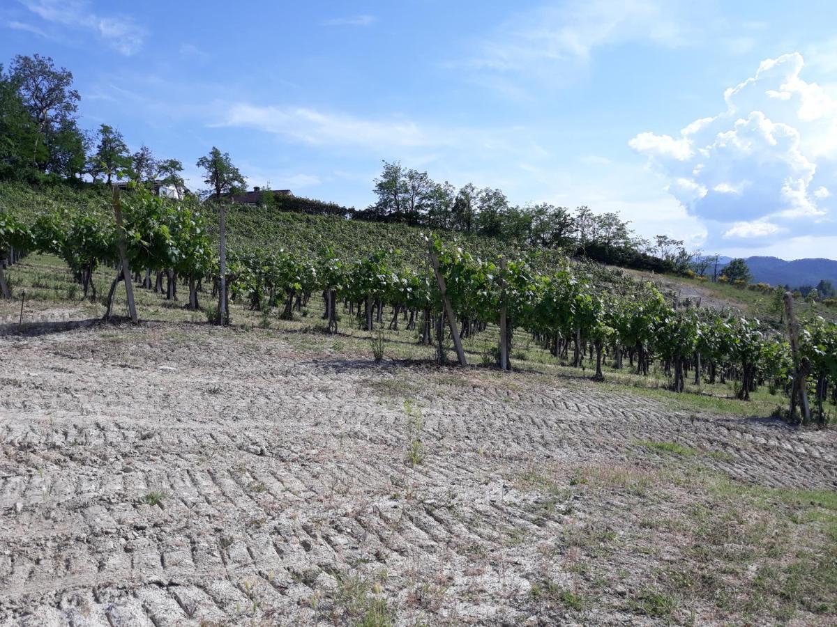 Agriturismo Il Biancospino Bed & Wine Διαμέρισμα Lerma Εξωτερικό φωτογραφία